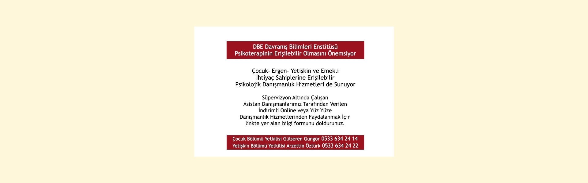 DBE Erişilebilir Psikoterapi Hizmetleri