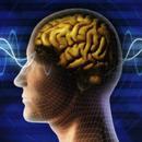 Başkalarının Hayatına Dokunun - EMDR Nedir?