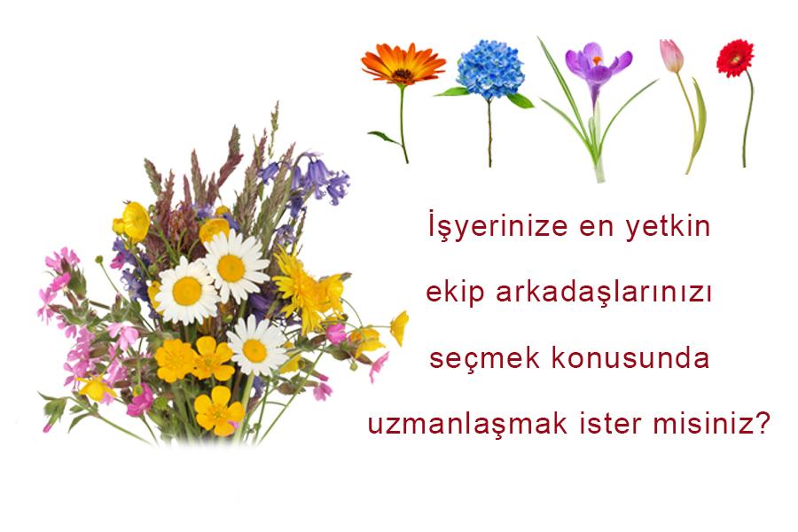 DBE Değerlendirme Merkezi Değerlendirici Programı
