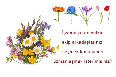 DBE Değerlendirme Merkezi Değerlendirici Programı