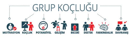 DBE Üst Yönetim için Grup Koçluğu Programı