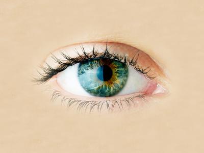 EMDR 2.0 ve EMDR 2.0 Grup Protokolü