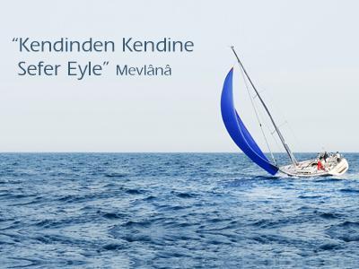Profesyonel Koçluk Modül 2 – Gelişim – Level 1